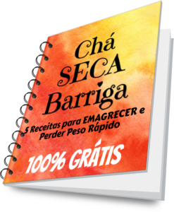 livro de receitas chas seca barriga