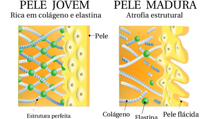 pele jovem e madura